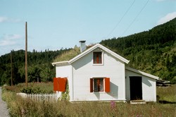 house with a roof made of grass
