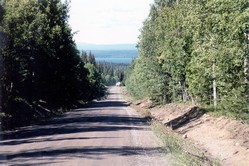 Roads in the midlle of Sweden