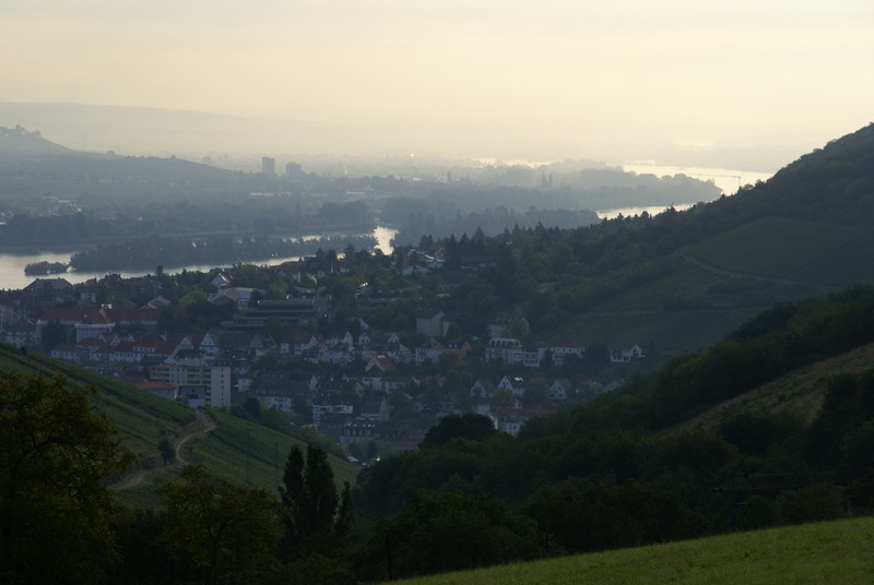 Blick auf Bingen