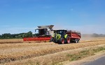 Wallonie 2026, Kornernte bei Pierremande