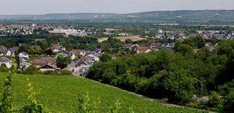 Wallonie 2026, Aufstieg von M�nster-Sarmsheim nach Weiler