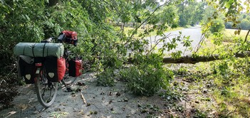 Wallonie 2026, umgest�rzter Baum vor Sint-Joris-Weert
