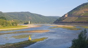 Wallonie 2026, M�useturm/Bingen bei Niedrigwasser