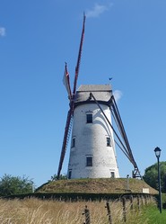 Wallonie 2026, Windm�hle am Kanal nach der Ausfahrt aus Br�gge
