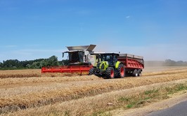 Wallonie 2026, Kornernte bei Pierremande