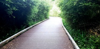 Wallonie 2026, Radweg am Lac de l'Ailette