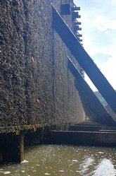 Wallonie 2026, Saline in Bad Kreuznach