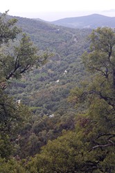 Cte d'Azur - Radtour nach Saint Tropez, Col du Gratteloup