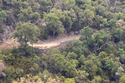 Cte d'Azur - Radtour nach Saint Tropez, Waldweg vor Collobrires