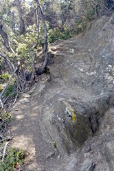 Cap du Bnat, Sentier Littoral