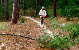 Radweg in den Landes