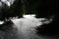 Lenzerheide - Zufahrt Crestas