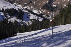 Saalbach-Hinterglemm, Tourenabfahrt X4, zunchst ganz harmlos